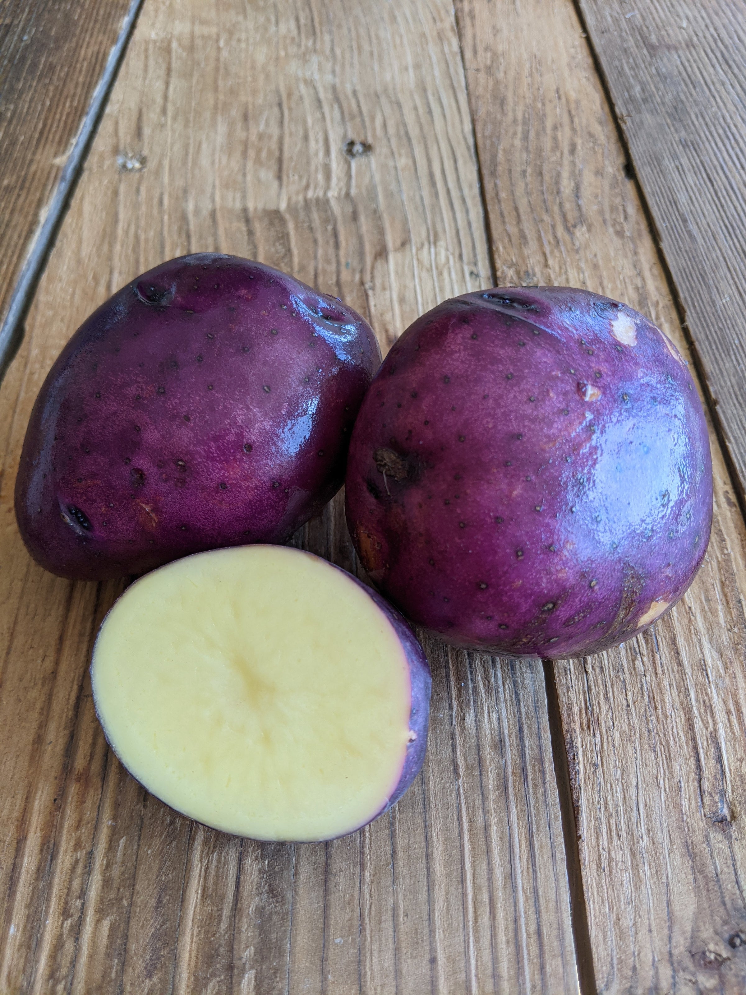 Olsen Farms Potato, Huckleberry Gold | Olsen Farms