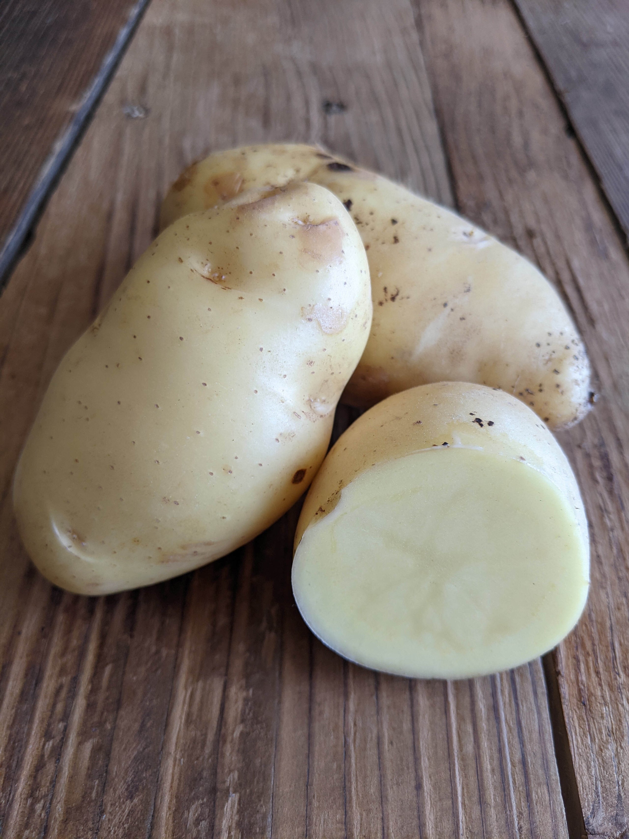 Bintje Potato For Shipping Olsen Farms